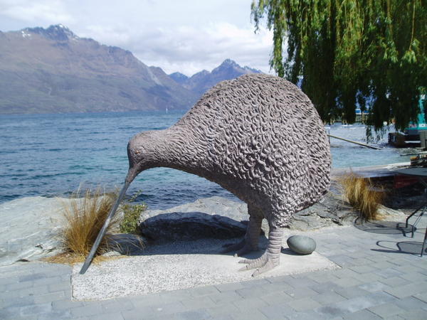 A really big kiwi
