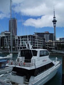 The Auckland skytower