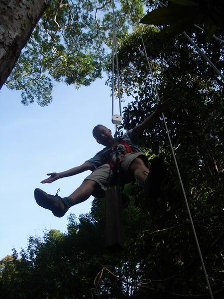 Steve half way up to the canopy