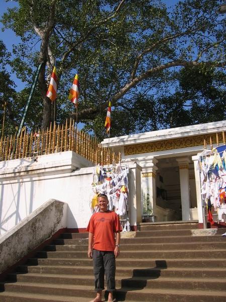 Sri Mara Bodhi - worlds holiest tree 