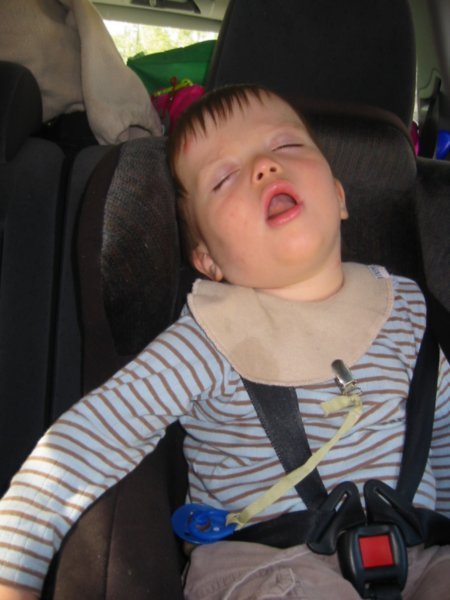 Sovende Alexander i bilen