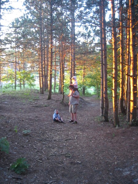 Far og ungerne i skoven