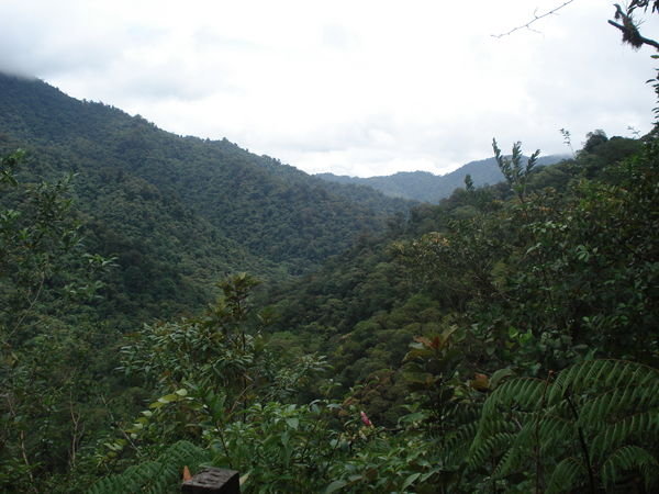 Vue du parc Tapanti - view from Tapanti national park