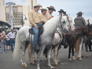 Horses in San Isidro de el General - les chevaus a San Isidro de el General