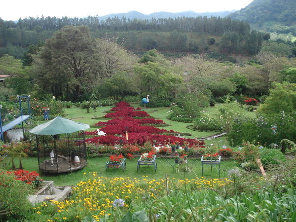 A nice garden I visited in Boquete
