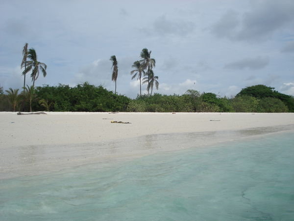Isla Iguana