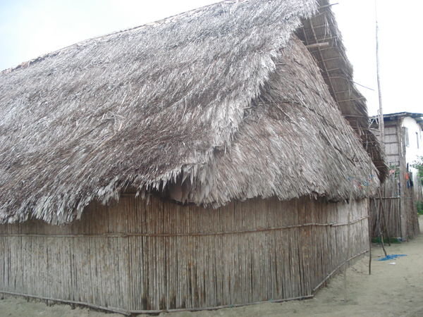 Maison Kuna typique/ Typical Kuna house