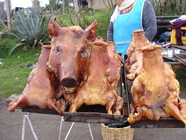 Tetes de cochons grillees, Saquisili/ Pigs heads, Saquisili