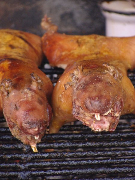 Cochons d'Inde grilles, Baños/ Grilled guinea pigs, Baños