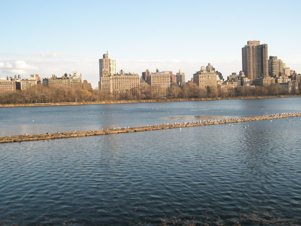 Perfect day in Central Park - new year's day
