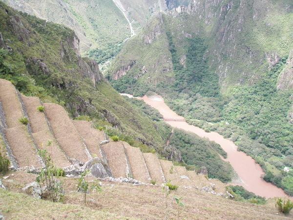 Farming terraces - Machu Picchu