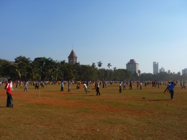 Oval Maiden - Mumbai