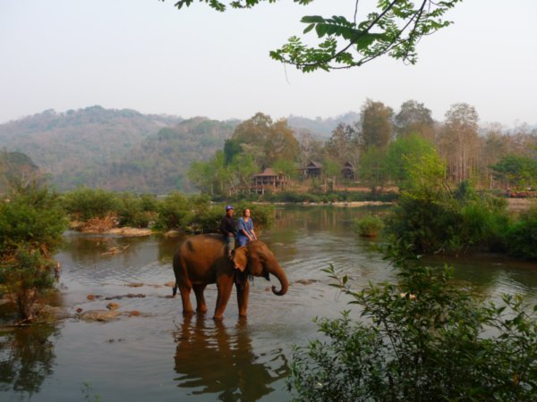 Elephants - Luang Prabang