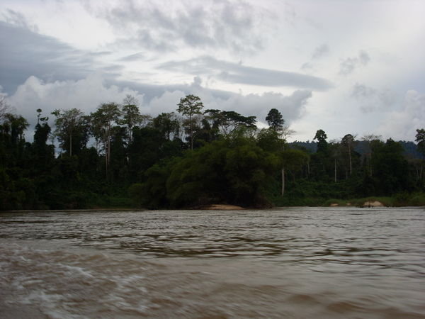 view from river boat