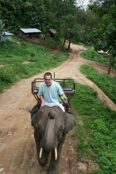 bare back elephant riding