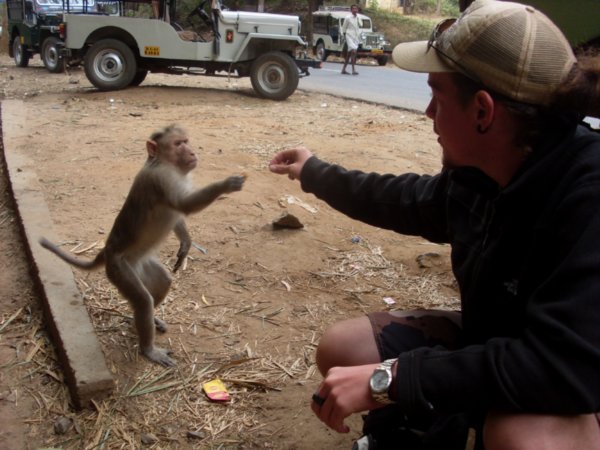 Good monkey....... gently gently