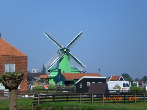 the pretty windmills!