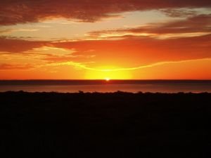 Shark Bay Sunset