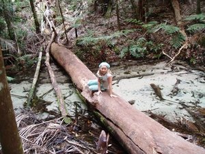 Central Station - Kate on a log over the creek