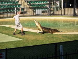 Australia Zoo - Crocodile show