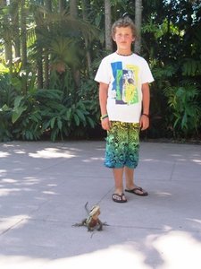 Australia Zoo - Bearded Dragon with Alex