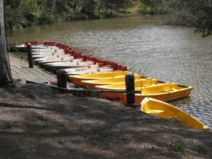 Poor lonely rowboats left unused