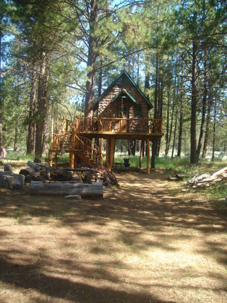 Hiker's Tree House