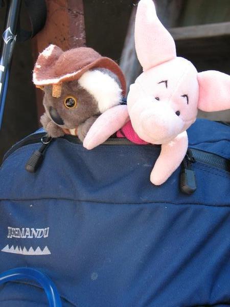 Linda hitching a ride with Kendra and Piglet!