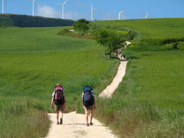 Wind Farms A Plenty Along The Trail