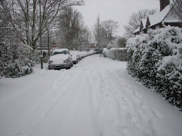 Snowed In! Our Street - Neale Close