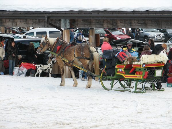 No Cars in this French Village - Sleighs Transport Guests to their Chalets