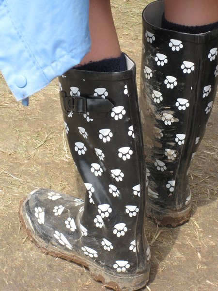 Paw Pring Wellies!