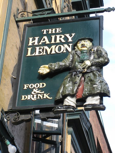 The Hairy Lemon Pub - Dublin