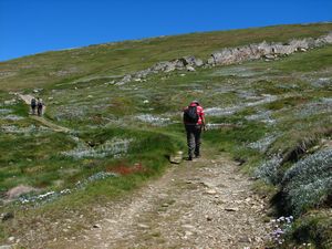 Trail Up Mt. Kosciuszko