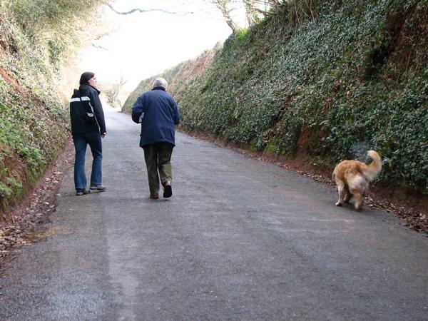 A walk in to Yeoford with David and Biscuit