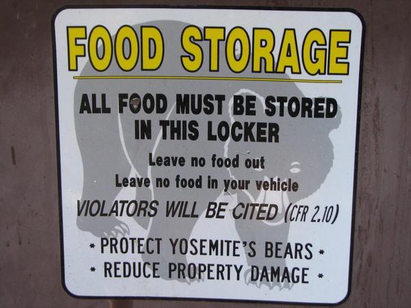 Bear Storage Boxes
