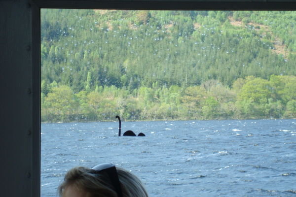 We Spotted Nessie!