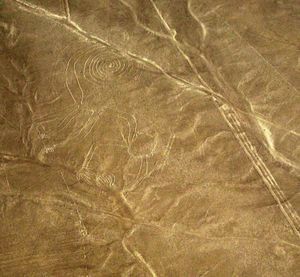 The monkey, Nazca lines