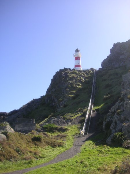 Lighthouse 2 - the climb!