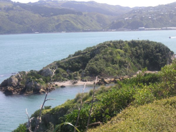View from Somes Island