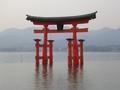 The Floating Torii of Itsukashima Shrine