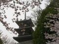 The 3-Storey Pagoda...