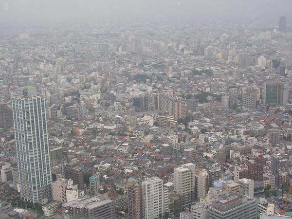 ...We Saw Tokyo As Far As The Eye Could See!
