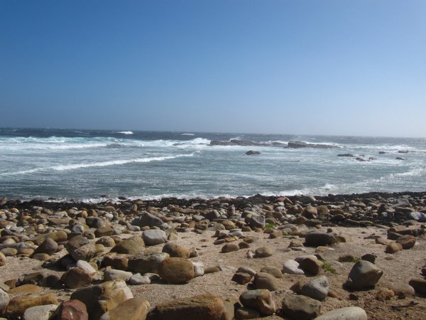 Cape of Good Hope Coastline