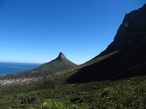 The Lions Head