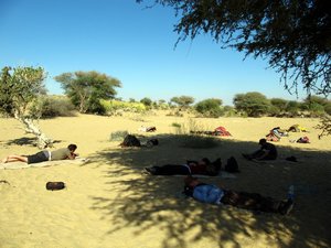 Afternoon Snooze in the Thar Desert
