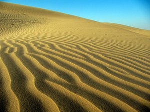 Arty Sand Dunes