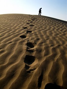 Footsteps in the Sand....