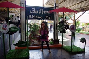 Arriving in Chiang Mai