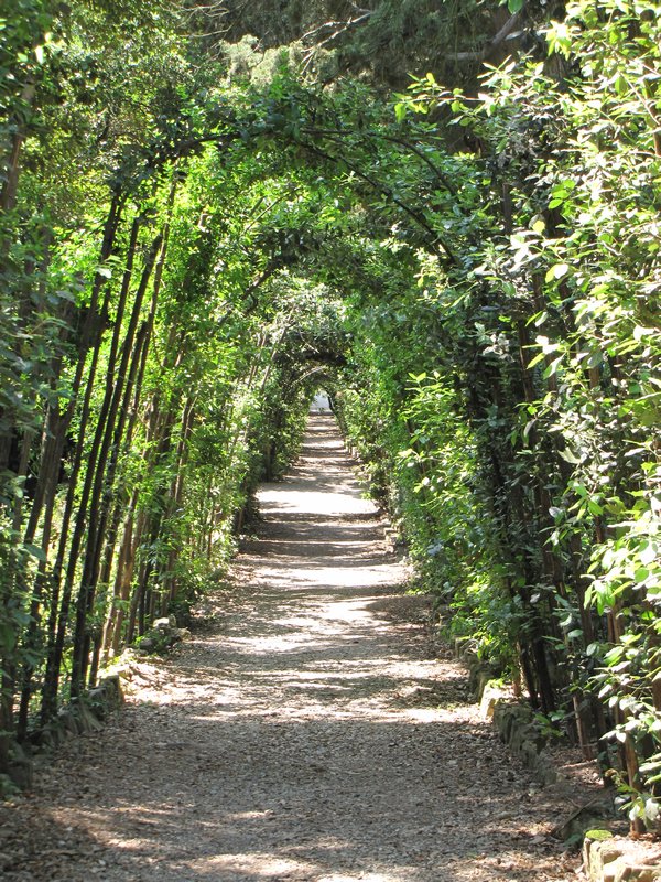 15 Cypress Alley in Boboli Gardens